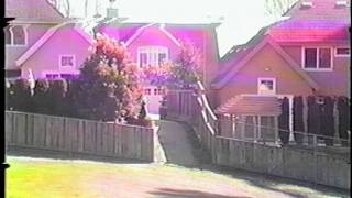 Six Organs of Admittance "Light of the Light"