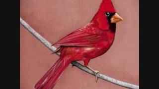 3.Sons of privilege - Alexisonfire.