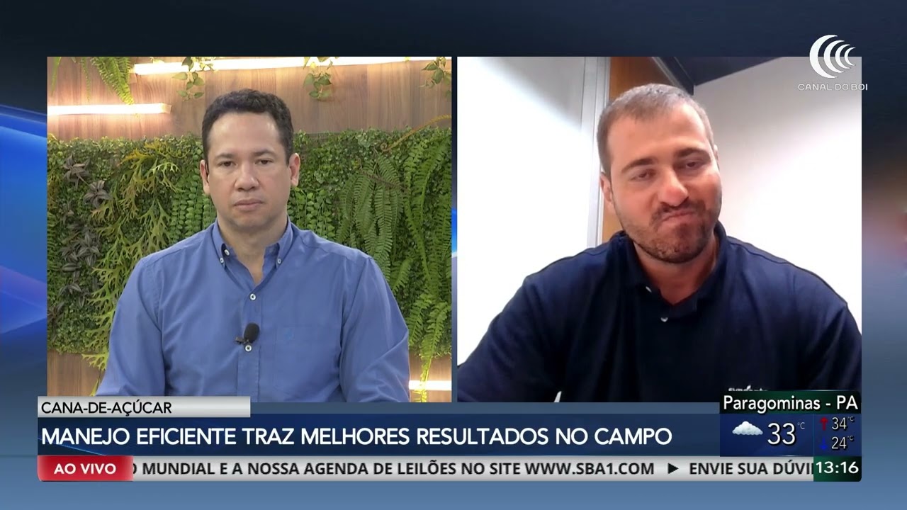 Manejo eficiente amplia resultados na cana-de-açúcar