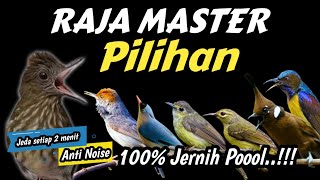 Download lagu Masteran burung kecil full Tembakan kasar tajam super jernih‼️ mp3