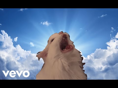 Thurston Waffles Cat | Heaven Tribute (Official Video)
