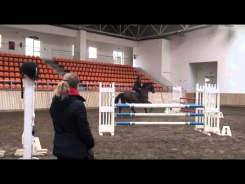 Clinic - Pius Schwizer