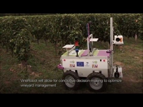 Vinerobot , ¿ el futuro del control de viñedos ?