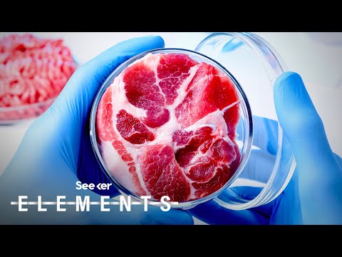 実験室で育てられた肉が本物の肉のように見えるようになるかもしれないという画期的な発見 (This Breakthrough in Lab-Grown Meat Could Make it Look Like Real Flesh)