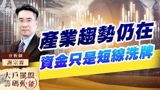 產業趨勢仍在 資金只是短線洗牌｜大戶羅盤籌碼動能 ｜謝宗霖