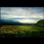 Beauty Queen - Horses (Tori Amos)