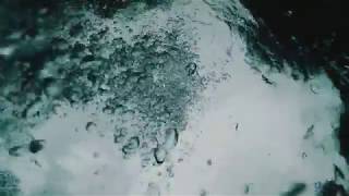 A True 2 Life Interpretation: Elle Varner - F**k It All