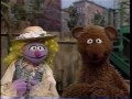 Sesame Street Baby Bear S Secrets Of A Happy Healthy Life