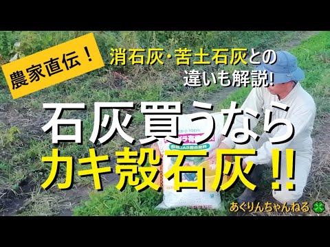 庭で生石灰をいつ使用するのですか?すべての用途の説明: 菜園、芝生、果樹  庭園