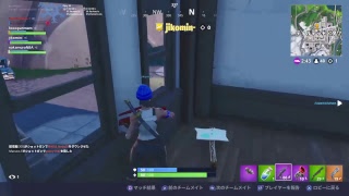 みんなでたのしくfortnite
