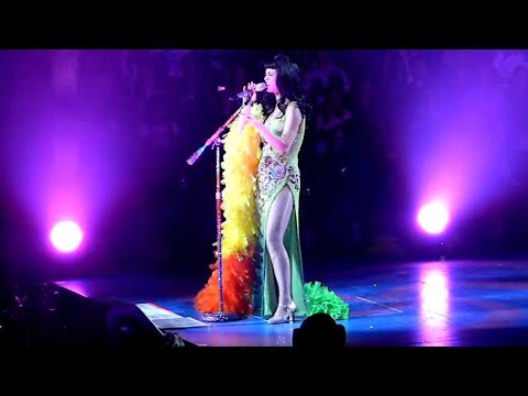 ¡Katy Perry se desmaya en pleno concierto!?