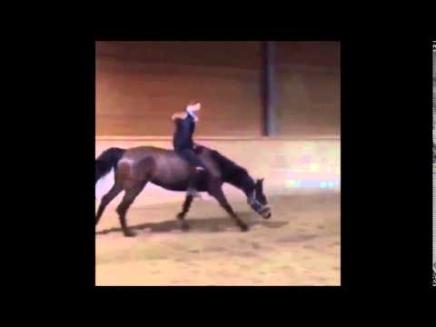 Reiten ohne Sattel & Zaumzeug - EQWOtv