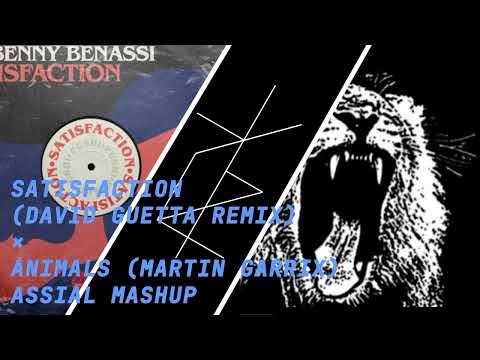 Satisfaction (David Guetta remix) x Animals (Martin Garrix) Assial Mashup