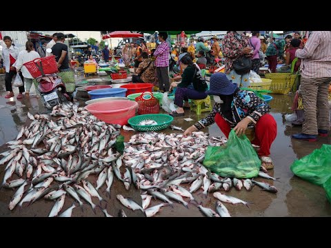 Cambodian Early Morning Fish Market - Daily Lifestyle of Vendors Selling Fish, Dry Fish, Seafood