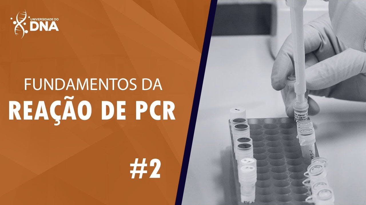 Reação de PCR: Função e características dos primers.