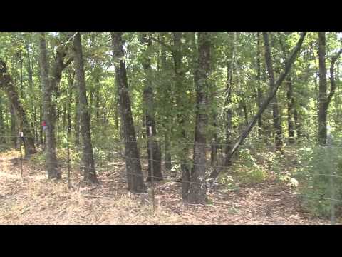 download lagu mp3 mp4 Prince Tree Farm, download lagu Prince Tree Farm gratis, unduh video klip Prince Tree Farm