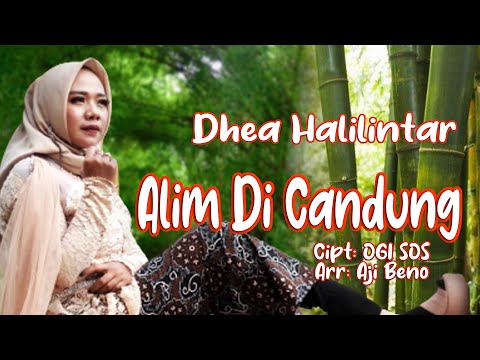ALIM DI CANDUNG - Dhea Halilintar