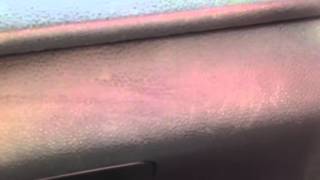 SACRED REICH: "Blue Suit,Brown Shirt".