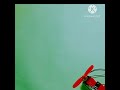Mini Drone Motor At Home Electronic Rphacker 8466