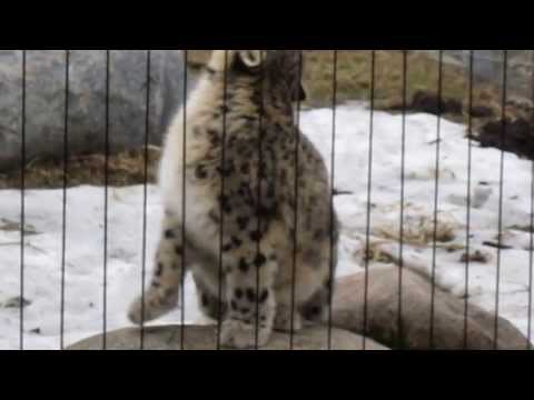 Mileedi ja Orlando 13.04.2013