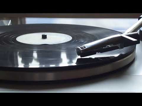 Elvis Presley - Blue Suede Shoes (1956)