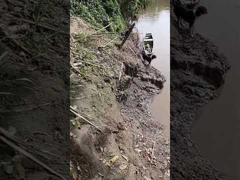 a si está el río Cauca hoy x la victoria valle bendiciones para todos