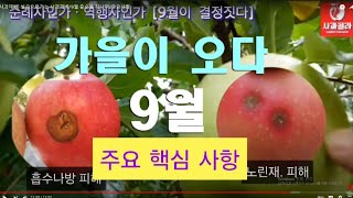 [사과재배] 방심하다가 후회할 수 있다/엽면살포/경도증가/한 병 다넣으면 큰일 납니다