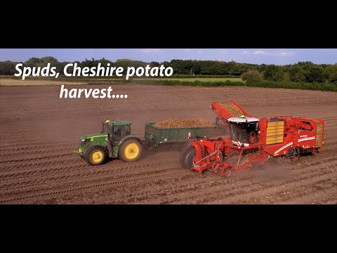 , title : 'Potatoes, tractors, and a fancy store.'