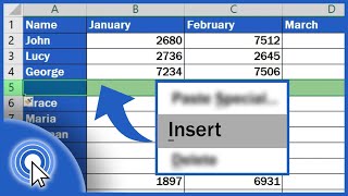 How to Insert Row in Excel