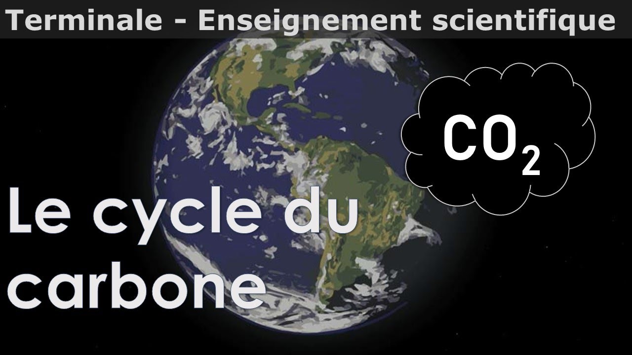 Le cycle du carbone - Enseignement scientifique - Terminale