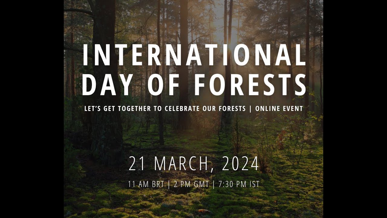 International Day of Forests 2024 - Webinar