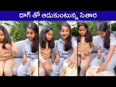 Mahesh Babu Daughter Sitara Playing With Her Pet Dog | Sitara Ghattamaneni | Rajshri Telugu