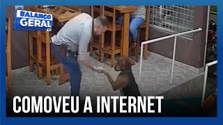 Comoveu a internet: cachorro de rua entra em lanchonete de Patrocínio e pede um abraço