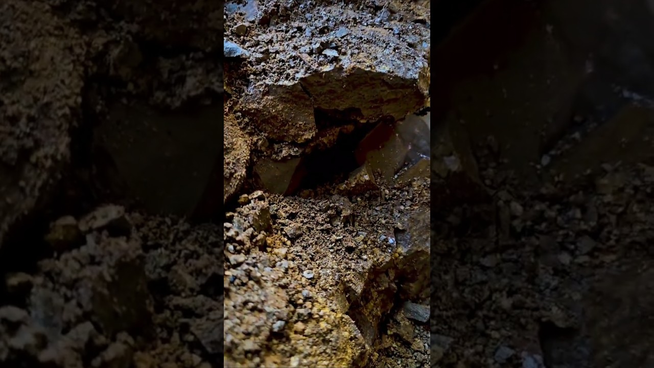 Cool 😎 Calcite Crystal 💎 Pocket found in New York 🙌 with a Special Guest!