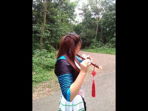 Txiv Lub Xim Xaus cover by Maiv Xyooj Yaj