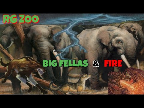 MTG PREMODERN Deck Tech: 🐘 RG ZOO — Pure Budget Damage, Zero Mercy. MD, Sideboard, Other Options!