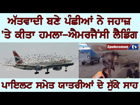 ਪੰਛੀਅਾਂ ਨੇ ਪਾੲਿਲਟ ਦੇ ਸੁਕਾੲੇ ਸਾਹ ਕਰਲਾੳੁਣੀ ਪੈ ਗੲੀ ਅੈਂਮਰਜੈਂਸੀ ਲੈਂਡਿੰਗ