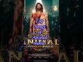 Songs Of Animal Movie Viral Song Trending Songs Of Animal Movie Viral Song Trending Shorts