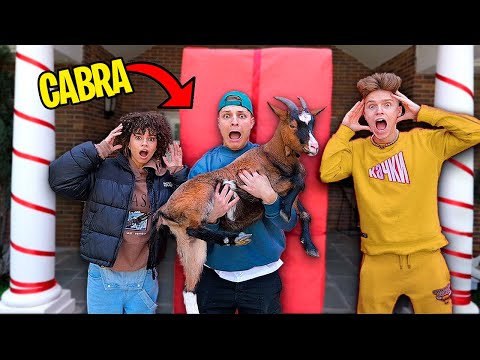 ABRIMOS EL REGALO GIGANTE DE LA GALAXY HOUSE