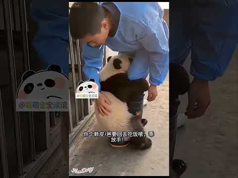 I want to eat too