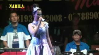 Download lagu Bisikan Kasih - Ani Anjani - Nabila Musik mp3