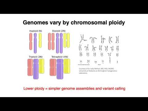 MCB 182 Lecture 1.1 - Review - Genome content