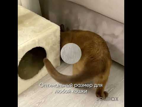 Миниатюра изображения товара Игрушка для животных Solmax&Zoo SM97154