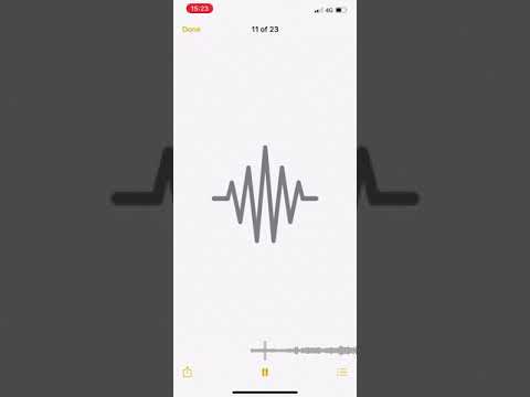 SamRecks x Anto - Exclusive