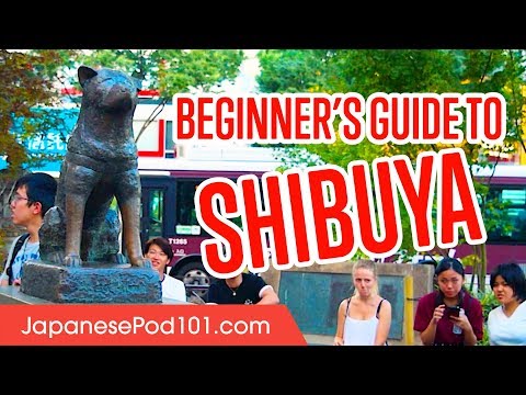 Climbing Mt Fuji Most Breathtaking Experience in Japan