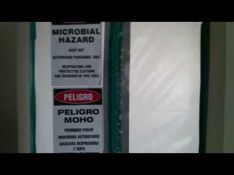 Crota's new place - water damage - Biohazard