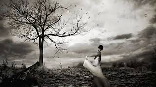 Lacrimas Profundere -  Without