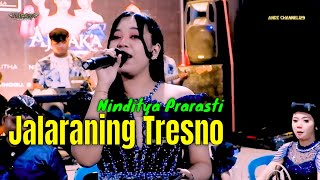 Download lagu Jalaraning Tresno  Ninditya Prarasti | AJISAKA JANDHUT - BY ALA Audio Live Paesan Mireng mp3