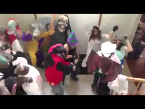 HARLEM SHAKE