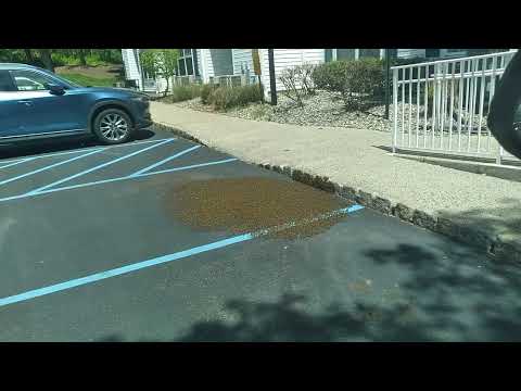 Honey Bees Parked Out Front in Dunellen, NJ